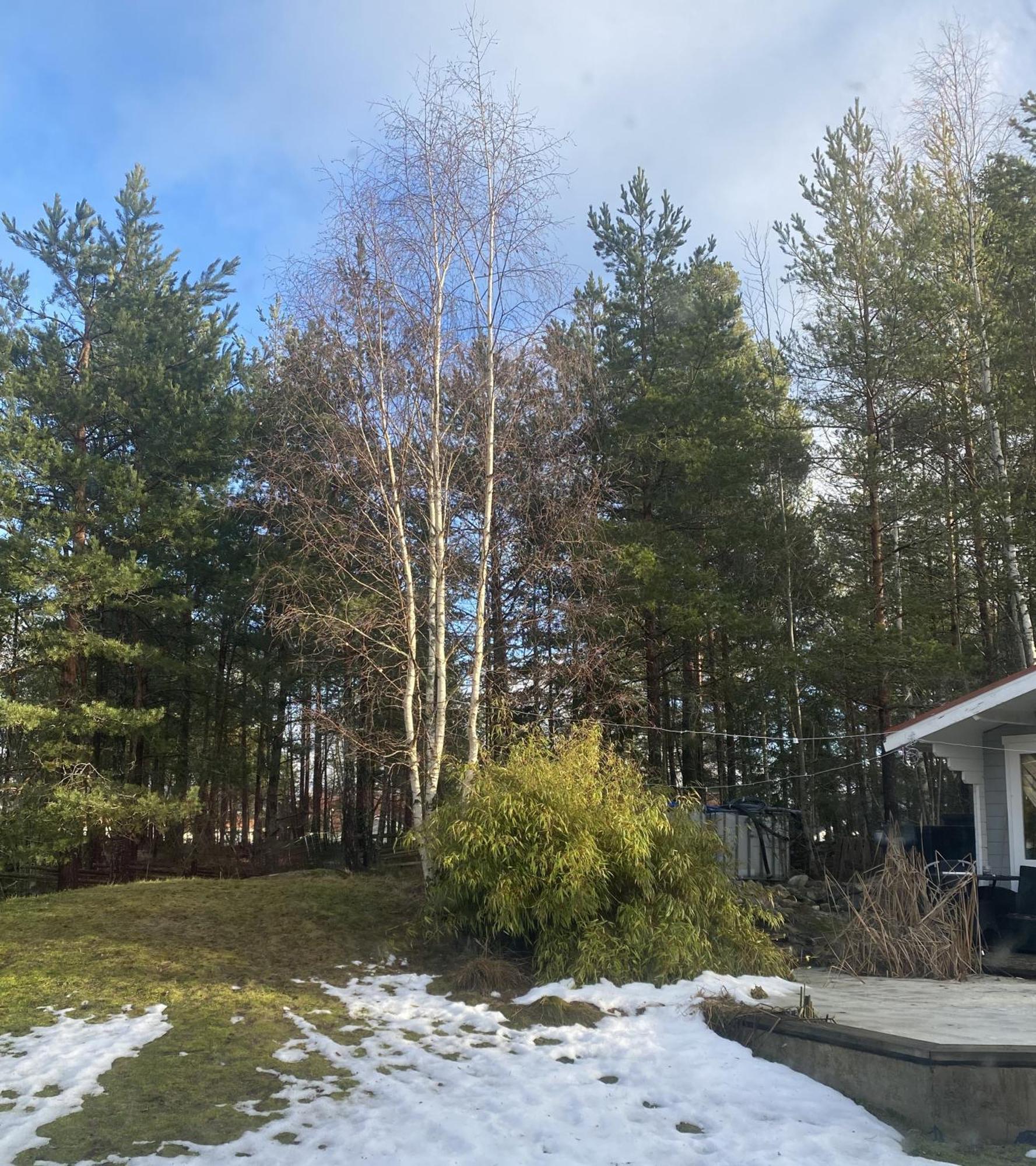 Villa In Svalsaeter, Kallfors, Jaerna, South Of Stockholm, Near Golf, Ytterjaerna Cultural House & The Baltic Sea Beach 잘나 외부 사진